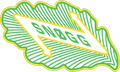 Snogg/Notodden U19
