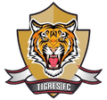 Club Tigres FC