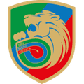 Miedz Legnica II