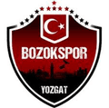 Yozgat Bld Bozokspor