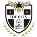 The Bees FC