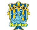 FC Baleine Shimonoseki