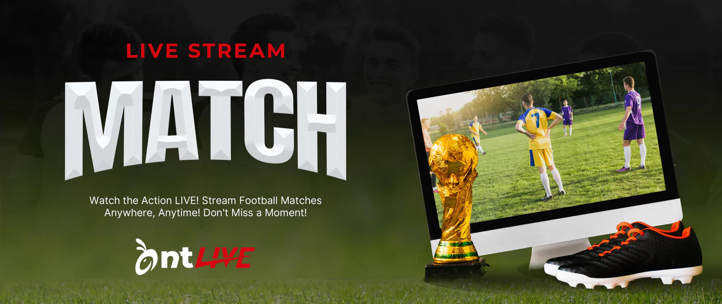 AntLive Banner